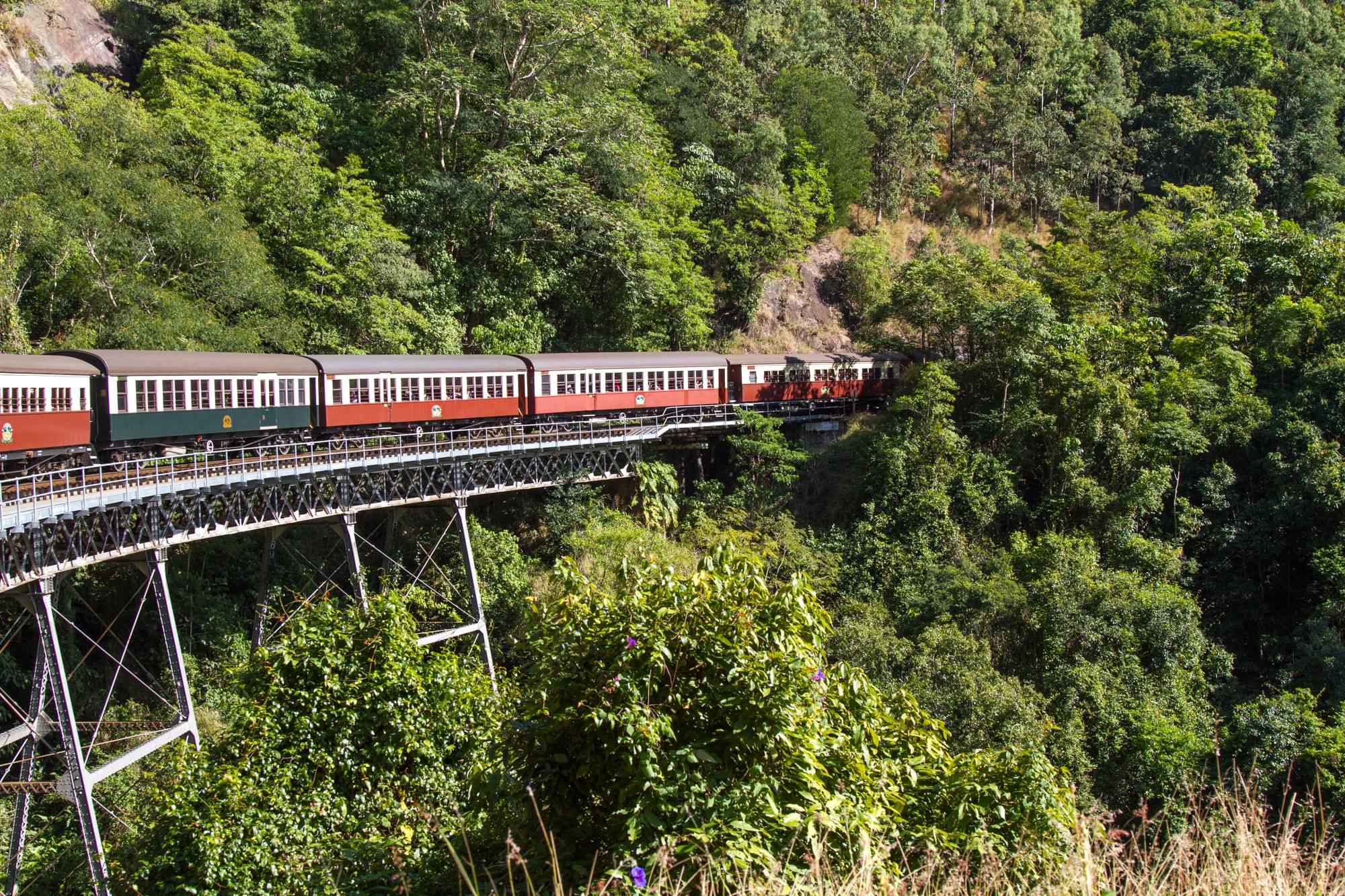 04_20150813   AUS 455   Kuranda